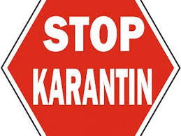 В Бишкеке уже 8 школ закрыты на карантин