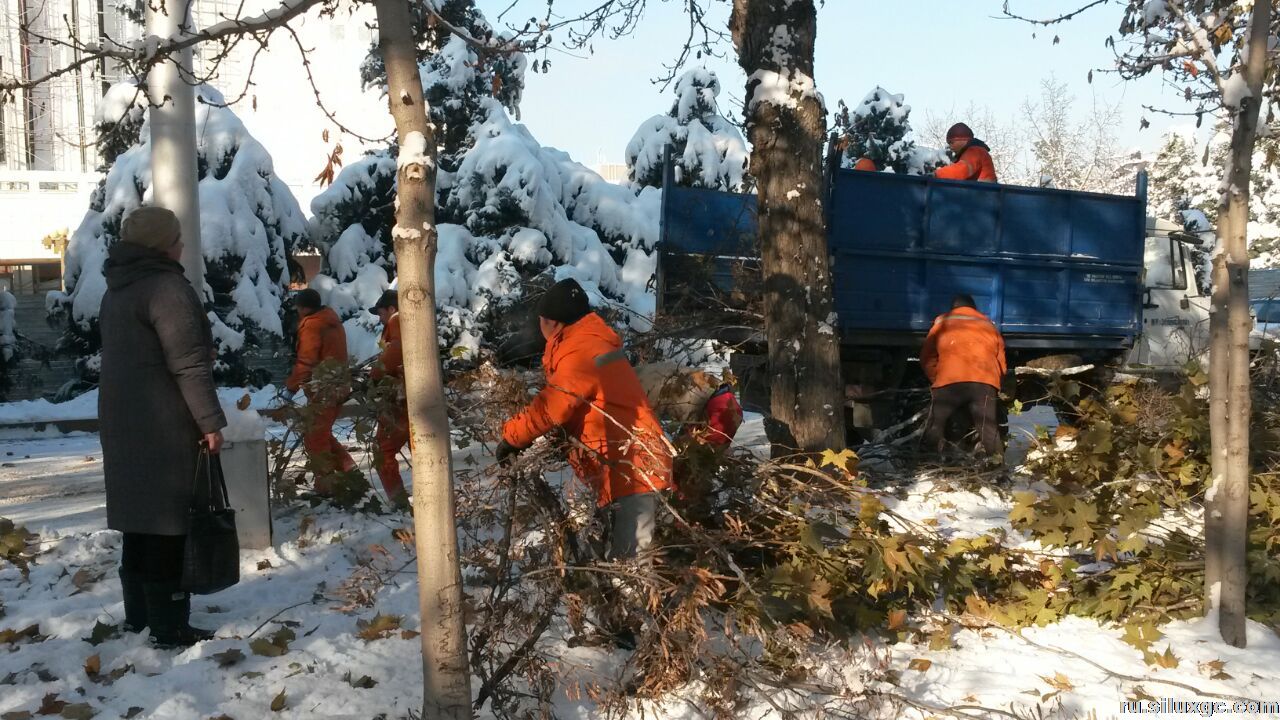 В Бишкеке организован мониторинг за опасными участками русла реки  Ала-Арча