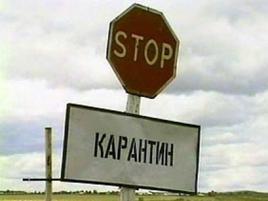 Более 100 тонн подкарантинной продукции из Кыргызстана не пустили в Россию в феврале