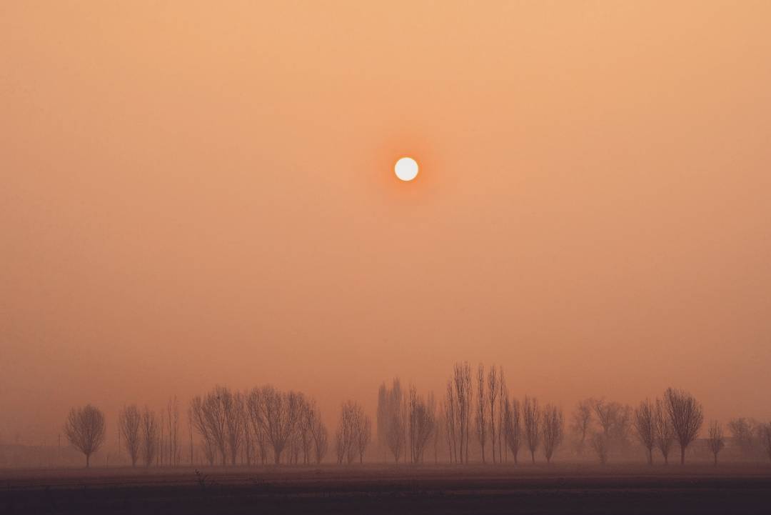 17 замечательных фотографий кыргызстанцев, которые пленяют своей красотой