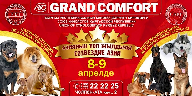 В Бишкеке пройдет международная выставка собак