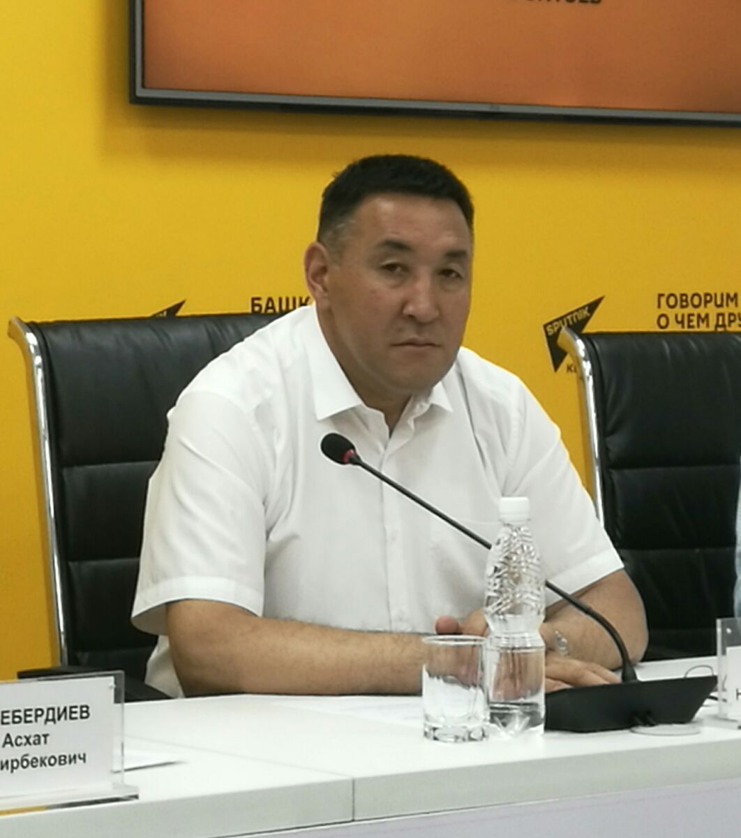 В рамках китайского гранта в Бишкеке будет высажено более 8 тыс. деревьев