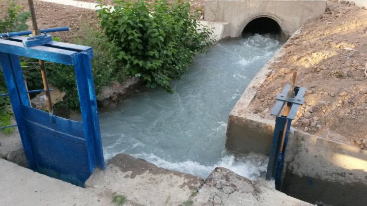 Каждую секунду на полив зеленых насаждений Бишкека тратится 4,5 тыс. литров воды
