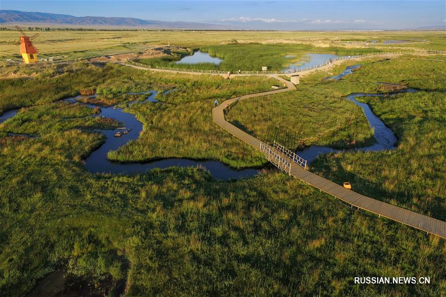Парк водно-болотных угодий Гаоцзяху в Синьцзяне