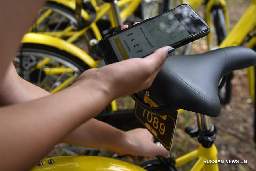 Китайская компания ofo сделает велосипеды доступными для студентов в Бангкоке