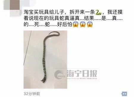 В Китае родители купили ребенку на Taobao набор игрушек. Внутри оказалась настоящая змея
