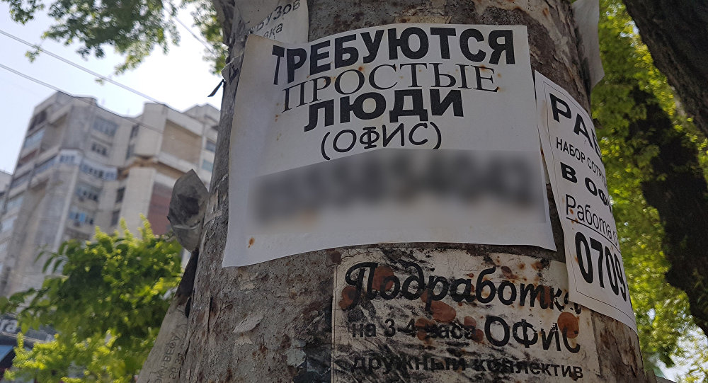 Почему в Кыргызстане так сложно найти работу? Мнение международного эксперта