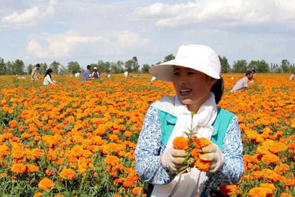 Город Шуанхэ при СПСК находится на границе между Китаем и Казахстаном.