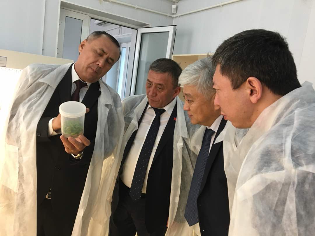 Эркинбек Чодуев: Мы будем наращивать поставки сельхозпродукции в Китай
