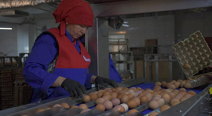 Как маркировка кыргызстанских товаров повысит качество продукции