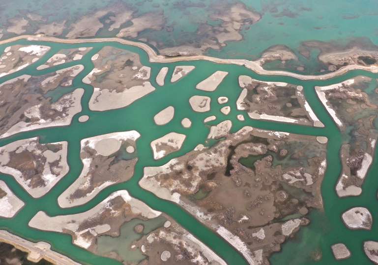 Заповедник водно-болотных угодий Яркенд