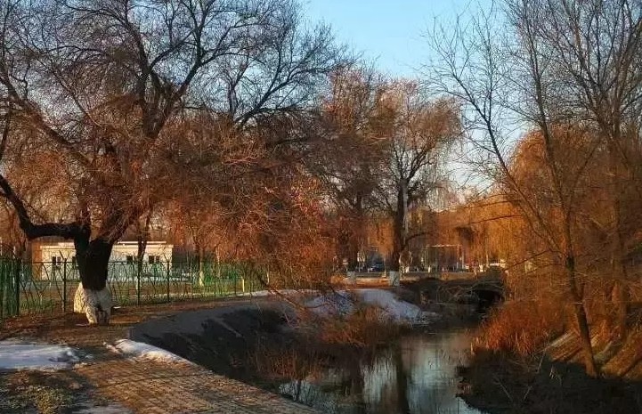 Прекрасное «свидание» СПСК и пришедшей весны (статья для WeChat)