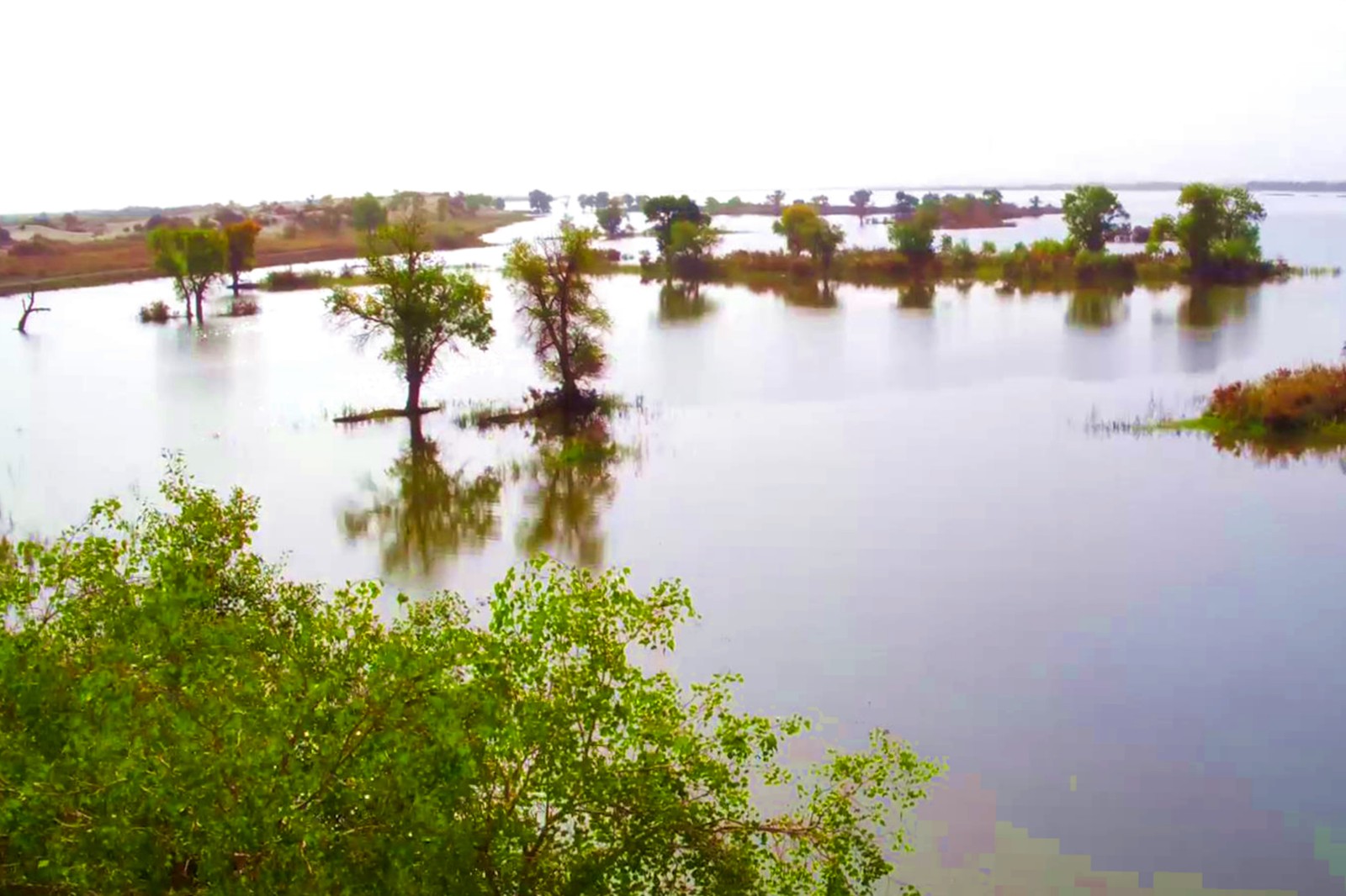 Неповторимое очарование природы в водно-болотном угодье Чала