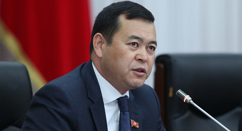 Депутат өкмөттөн Тыныбекованын машыктыруучусуна да батир берүүнү өтүндү
