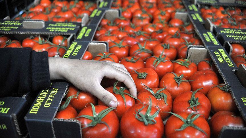 Томатная продукция Синьцзяна продается в ста странах и регионах мира