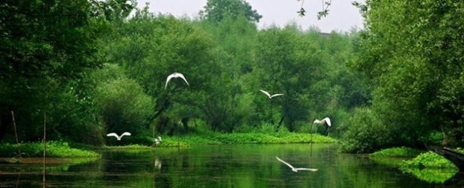 Национальный парк водно-болотных угодий Си-си