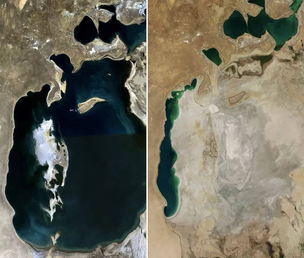 Ученые Китая и Узбекистана «лечат» экологию Аральского моря