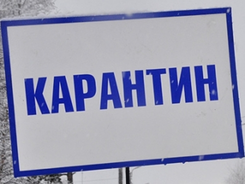 Марс Сариев: Продление карантина необходимо для  безопасности