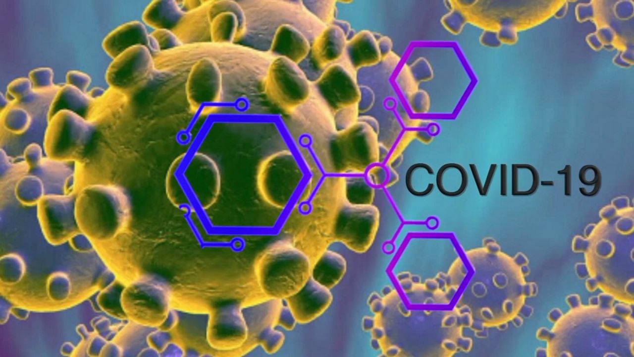Все страны должны нести ответственность за свою ситуацию с эпидемией COVID-19