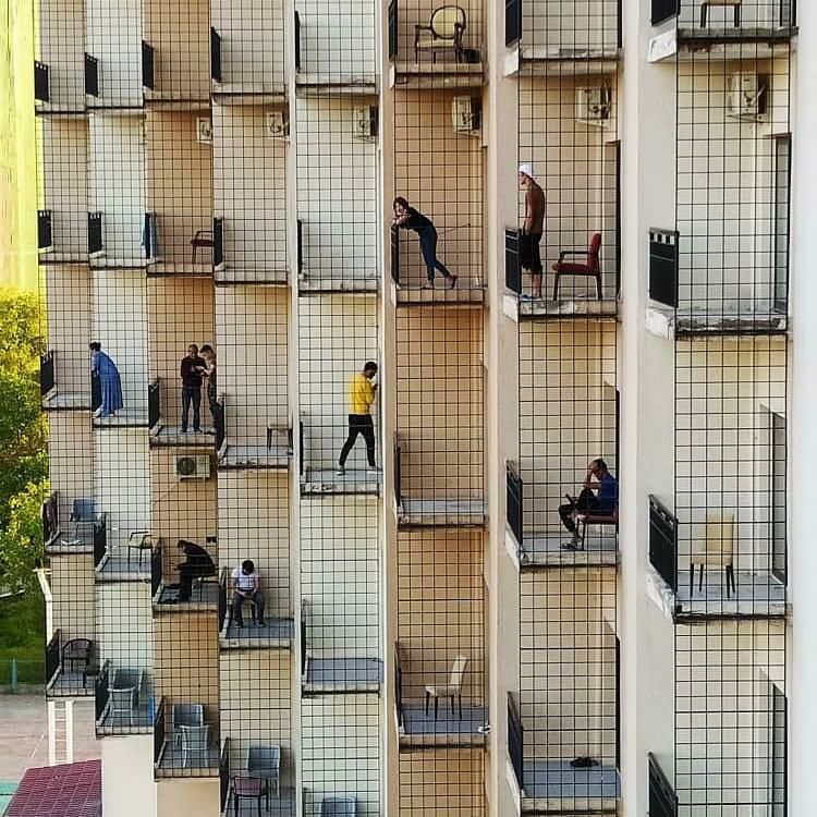 Фото дня: в отеле хорошо, но на свободе лучше