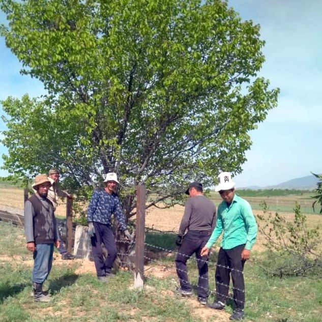 На Западном Тянь-Шане восстанавливают леса