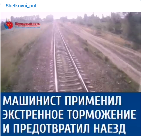 Машинист применил экстренное торможение и предотвратил наезд на человека