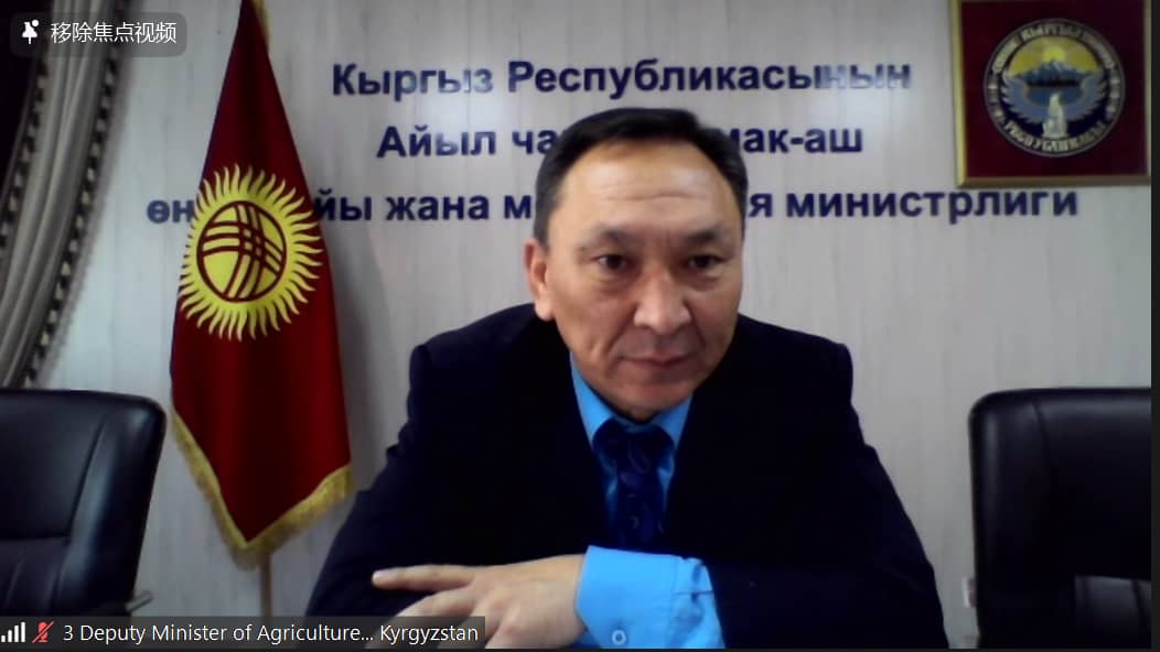 Видео-конференция китайских и кыргызских предпринимателей: акцент на сельское хозяйство