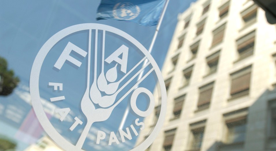 В ООН зафиксировали рекордный рост цен на продукты