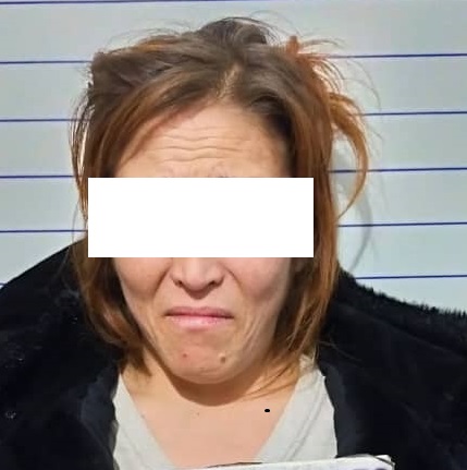В Ново-Николаевке мать убила 14-летнего сына