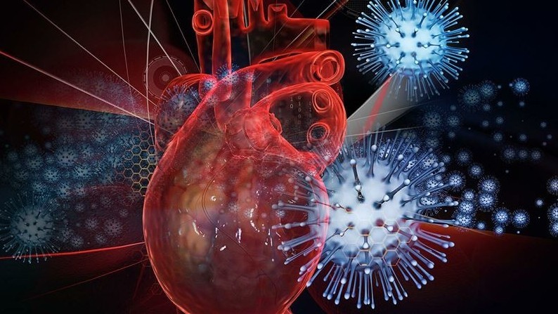 Немецкие ученые выяснили, почему COVID-19 приводит к опасным тромбам