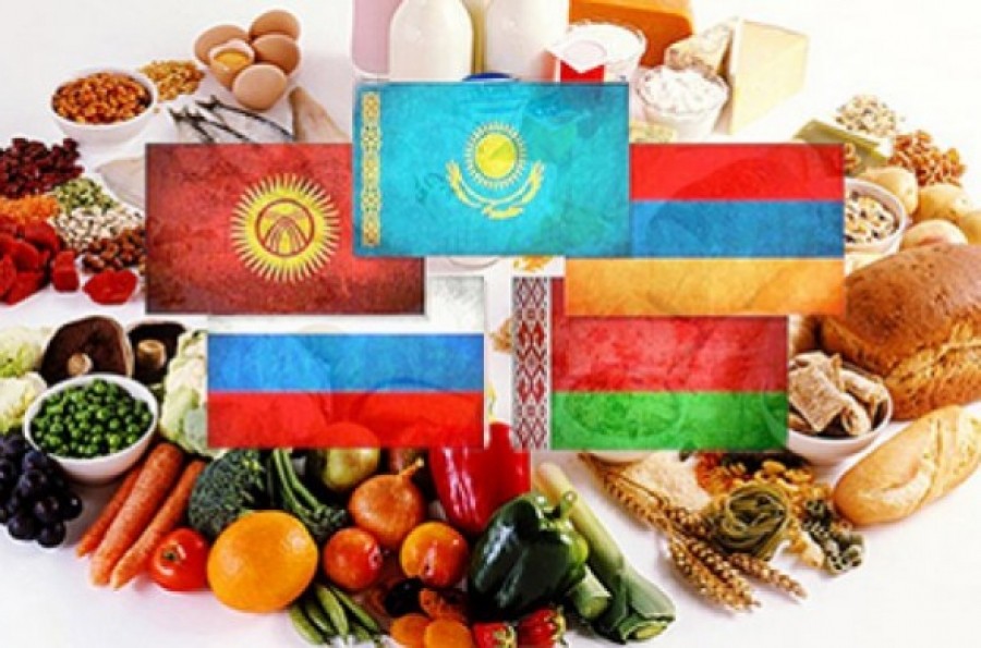 Страны ЕАЭС планируют помогать нуждающимся государствам, входящим в Союз