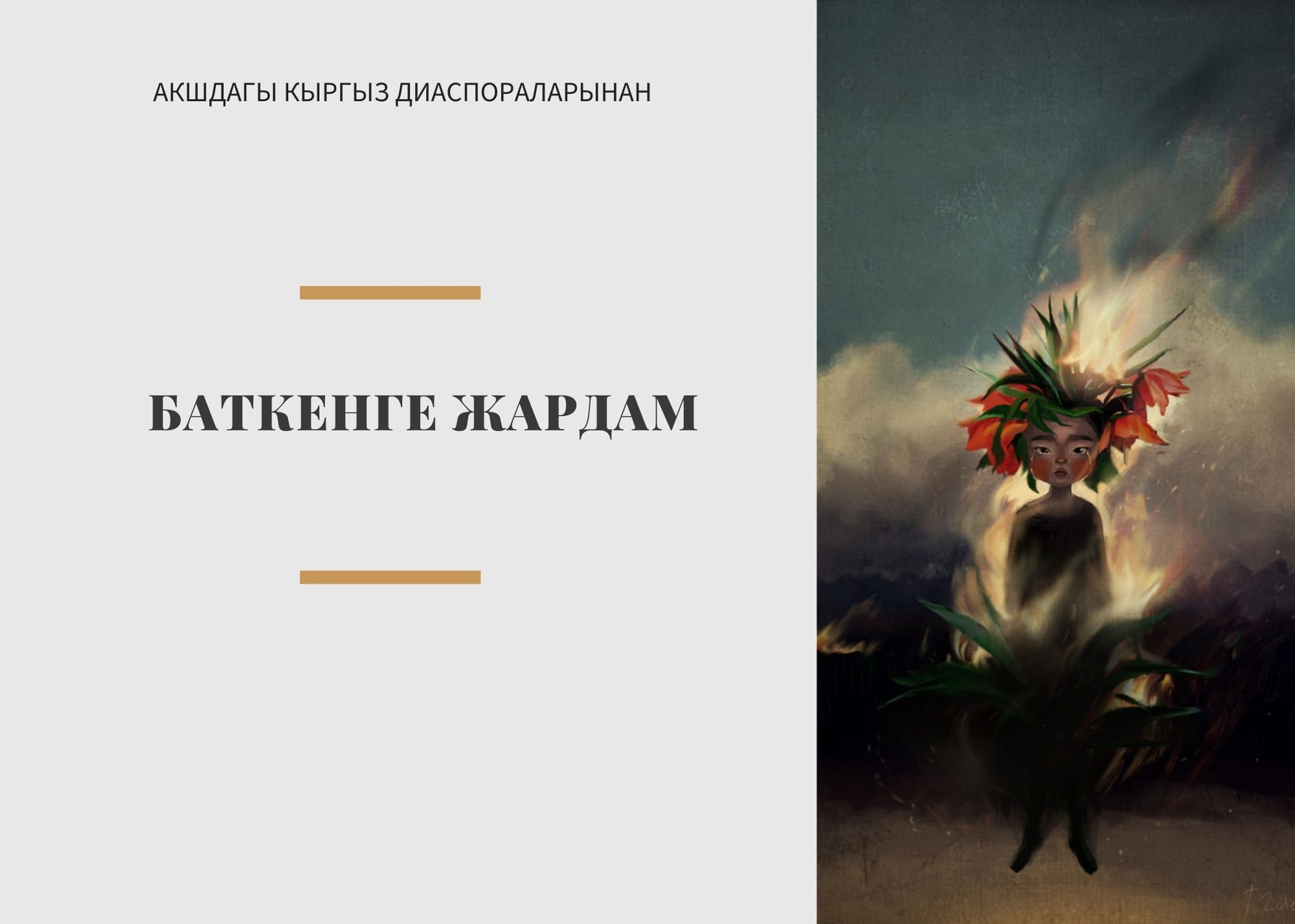 Помощь от диаспоры в США пострадавшим на границе баткенцам. Собрано уже более 160 тыс. долларов